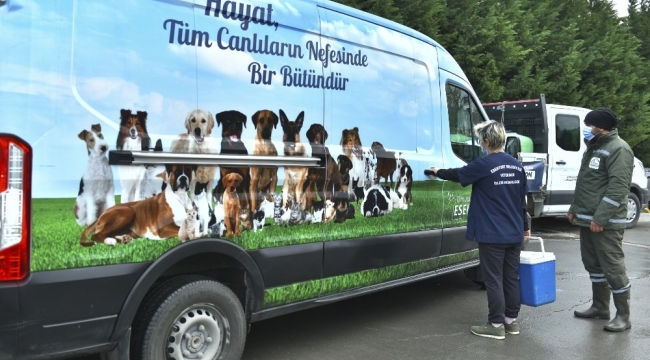 Esenyurt Belediyesi'nden sokak hayvanlarına kuduz aşısı