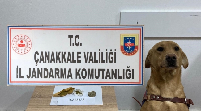 Çanakkale'de uyuşturucu operasyonu: 5 gözaltı