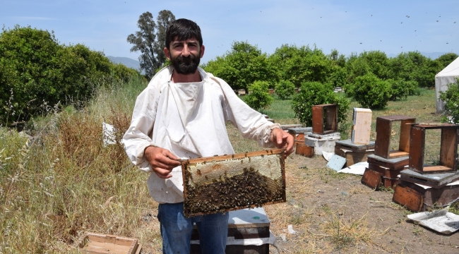 Antalya'da ilk bal hasadını yapan arıcılardan, aracı tepkisi