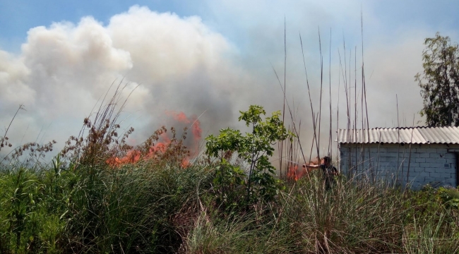 Antalya'da sazlık yangını ahır ve ev eklentilerini tehdit ediyor