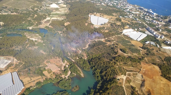 Alanya'da çıkan yangında 1 hektarlık orman arazisi yandı