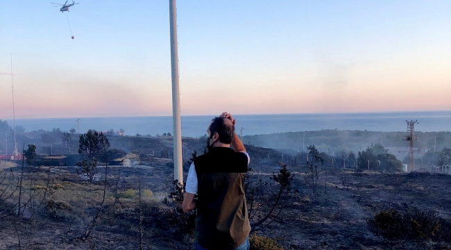 Altınkum'da 20 dekar makilik alan yandı