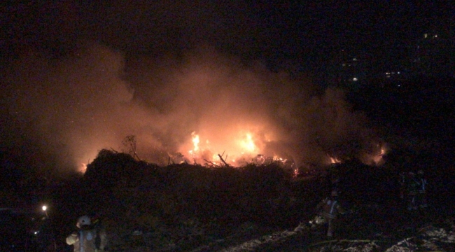 Bakırköy'de ağaçlık alanda korkutan yangın