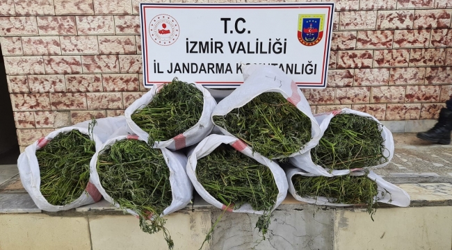 İzmir'de 5 ilçede uyuşturucu operasyonları: 6 gözaltı
