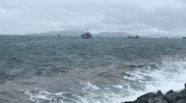 Kartal'da kuvvetli rüzgar nedeniyle Panama bayraklı kargo gemisi sürüklendi
