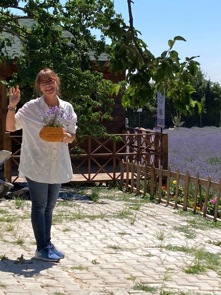 Bilecik Lila Lavanta Bahçesi Şehre Turistik ve Ekonomik Katkı Sağlıyor