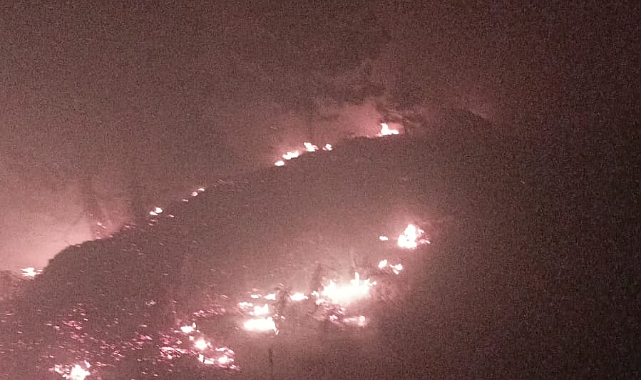 Yangın söndürüldü, 80 hektar alan zarar gördü