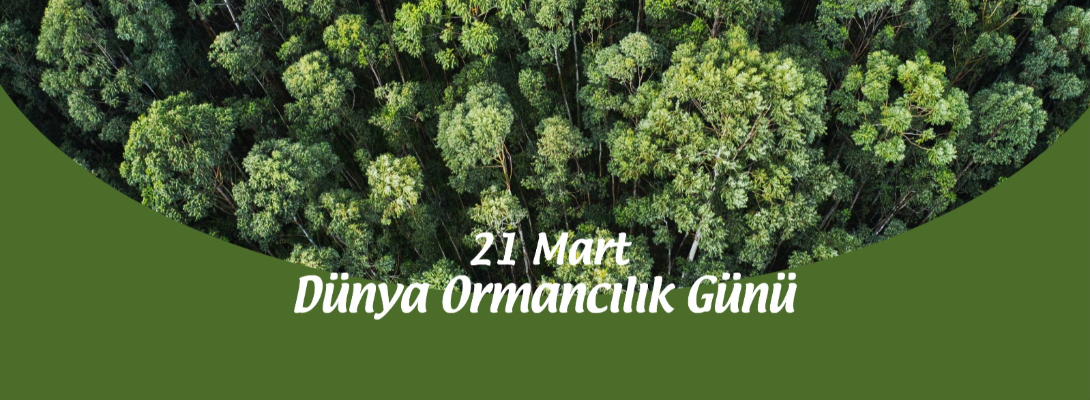 Çanakkale Belediye Başkanı Sayın Ülgür Gökhan'ın 21 Mart Dünya Ormancılık Günü Mesajı