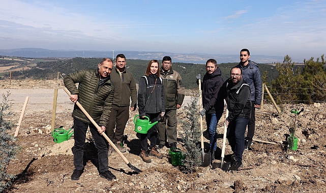 Enerjisa Üretim'den fidan dikimi