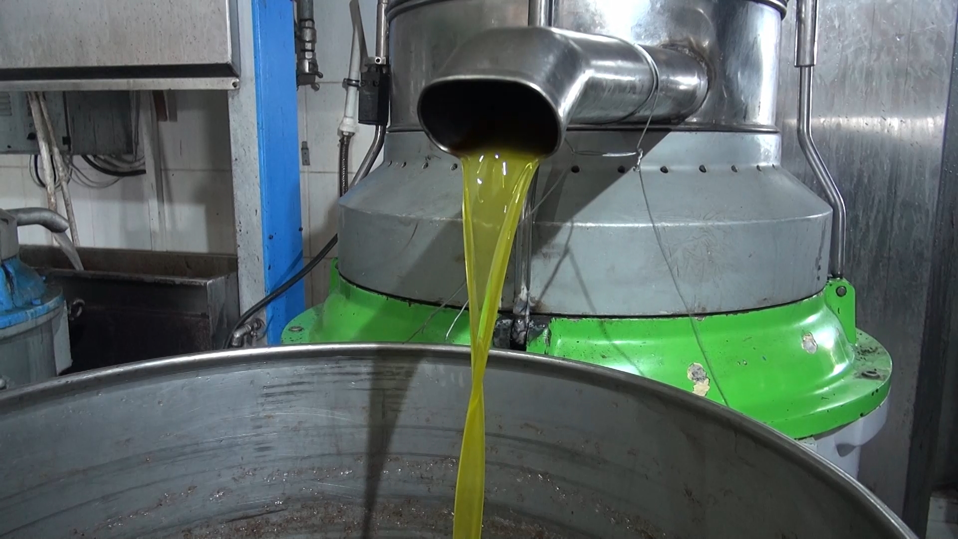 Zeytin ve Zeytinyağı Üretiminde Bu Yılın Zorluğu: Kuraklık ve Düşen Fiyatlar