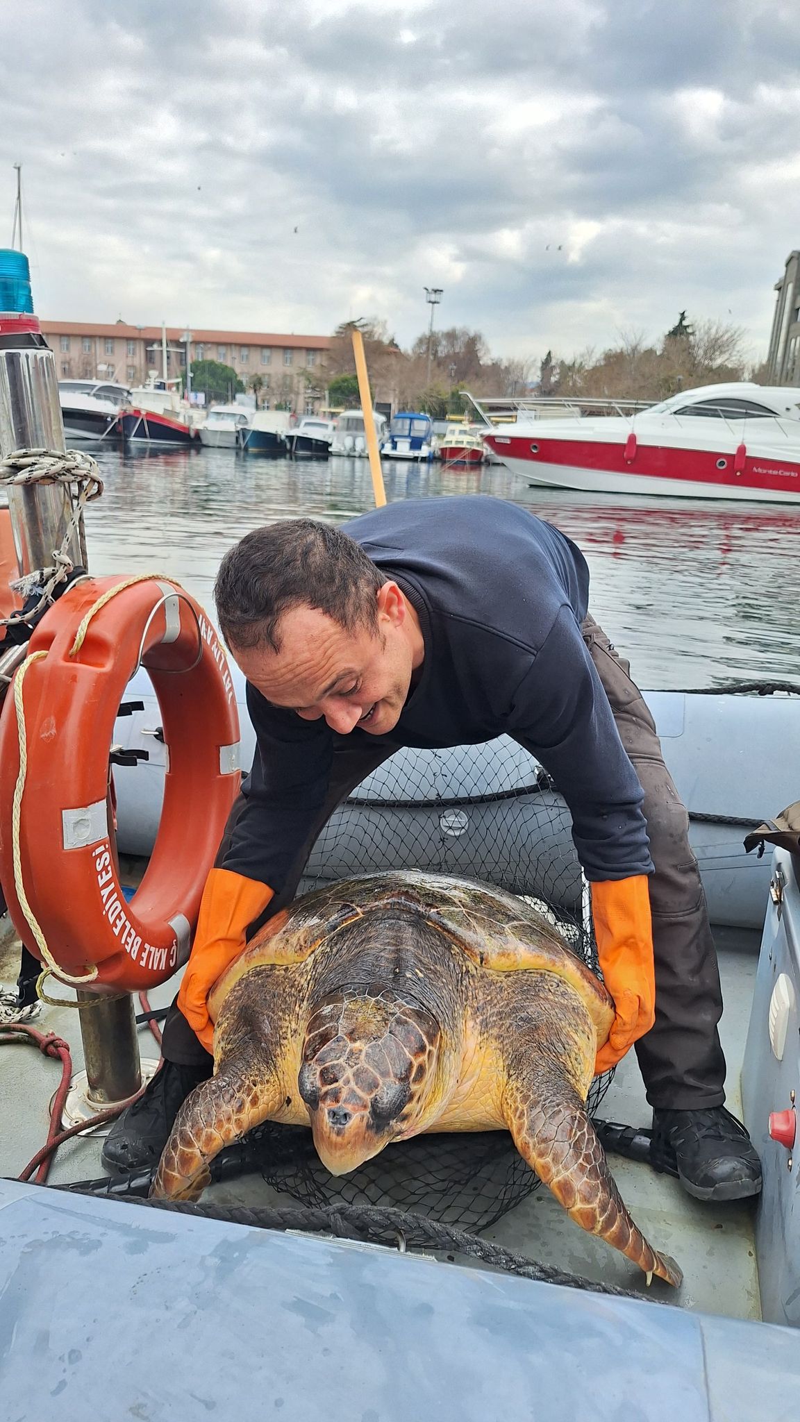 Caretta Caretta, Çanakkale Belediyesi Ekipleri Tarafından Kurtarıldı